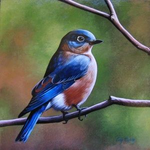 Meet your Posher, Rae